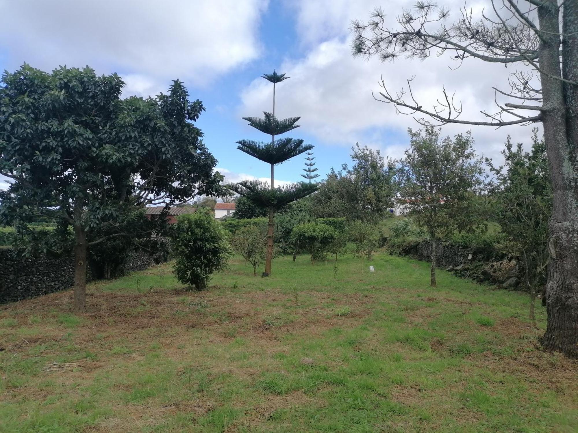Espaço Roteiro de Mimos São Vicente Ferreira Extérieur photo