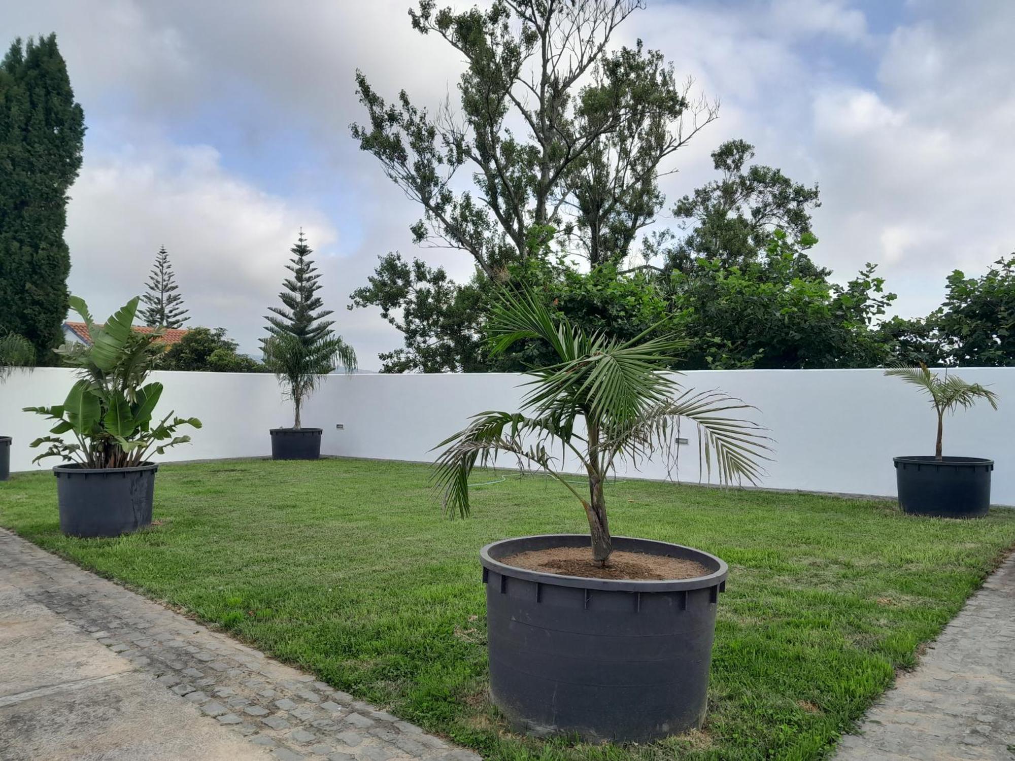 Espaço Roteiro de Mimos São Vicente Ferreira Extérieur photo